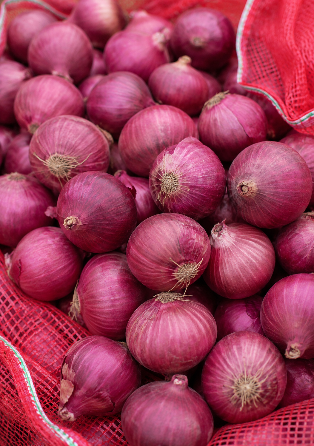 Onion