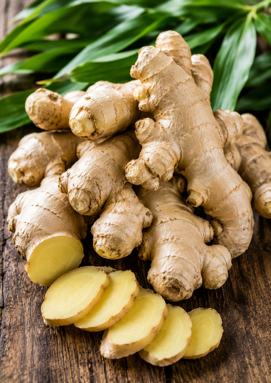 Ginger
